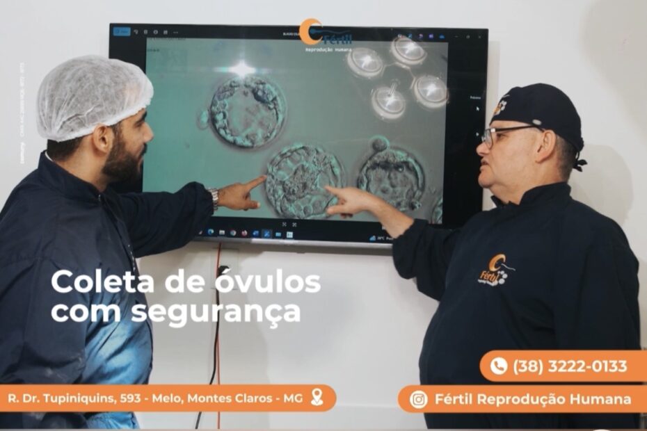 Fiv na Fértil Reprodução Humana em Montes Claros para endometriose