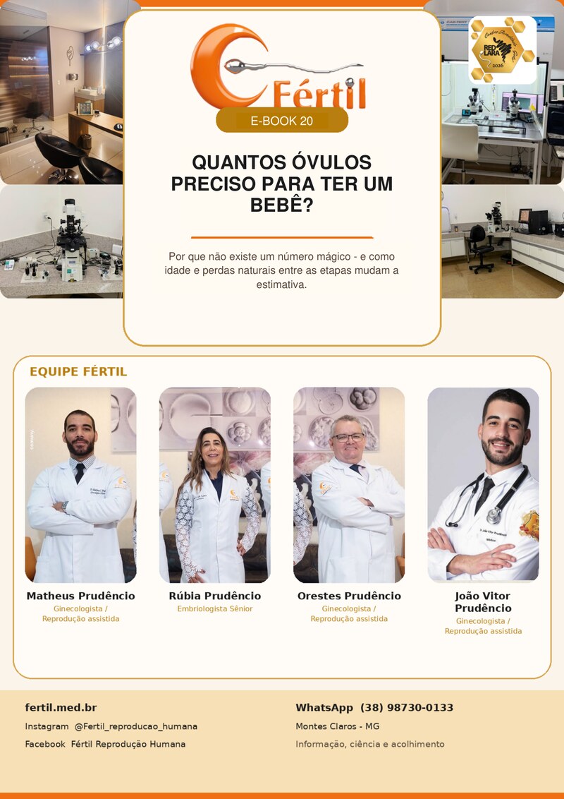 Quantos óvulos preciso para ter um bebê?