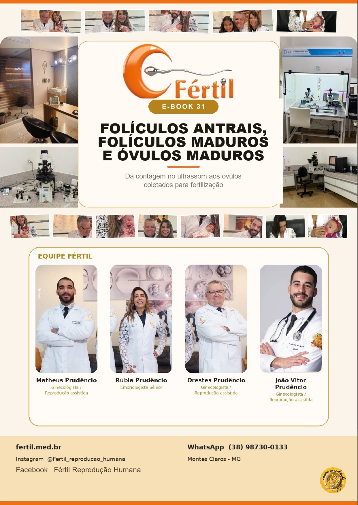 Folículos antrais, folículos maduros e óvulos maduros