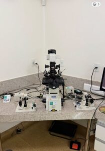 Micromanipulador de gametas para ICSI ou IMSI