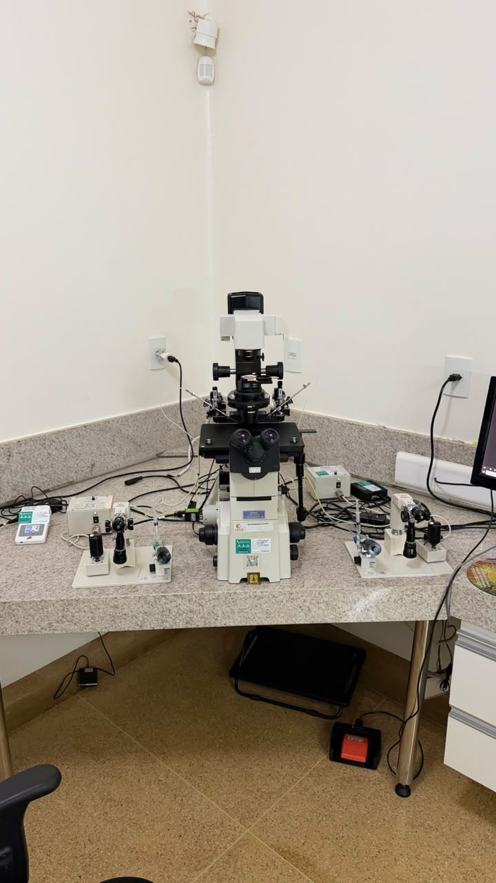 Microscópio de micromanipulação para ICSI no laboratório da Fértil