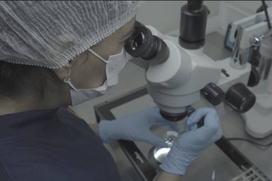 batch IVF: Embriologista de touca e máscara observando amostra no estereomicroscópio no laboratório da Fértil