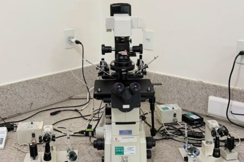 Microscópio invertido com micromanipuladores no laboratório de reprodução assistida da Fértil Reprodução Humana