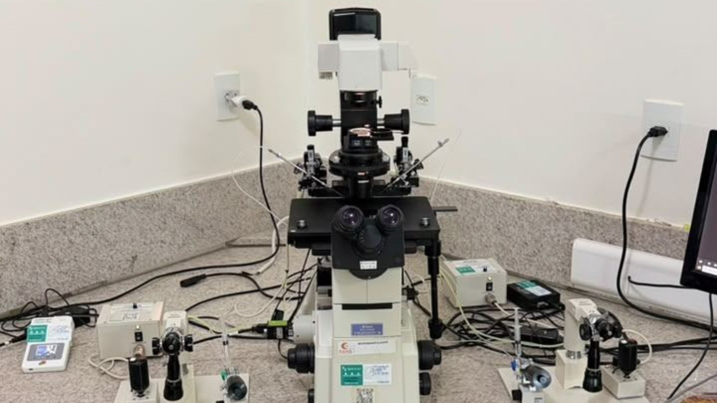 Laboratório de fertilização in vitro da Fértil Microscópio de laboratório utilizado em análises de fertilização in vitro na Fértil Reprodução Humana